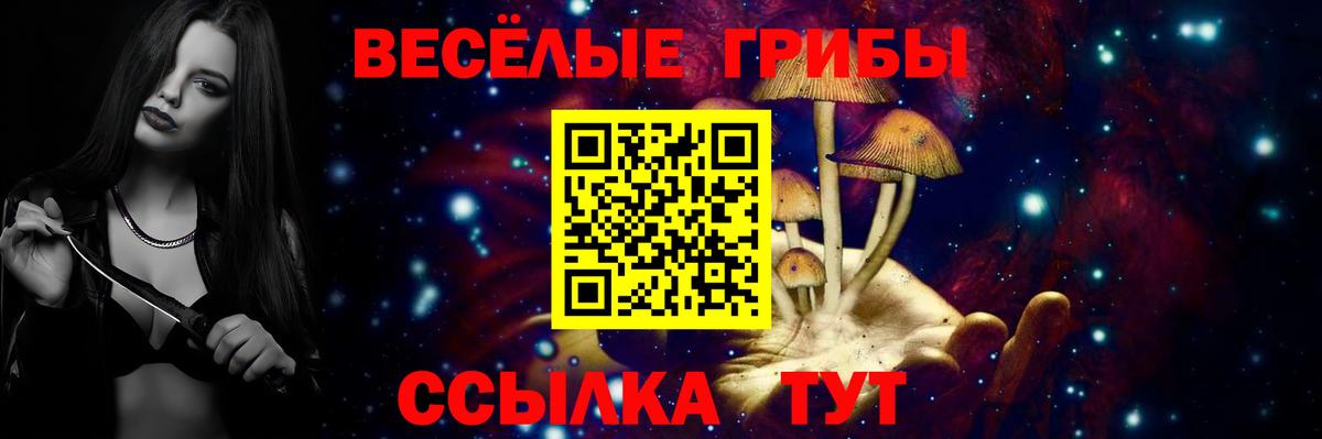 Щёлково  Галлюциногенные грибы Psilocybe  Вход с VPN 